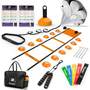 Agility Training Equipment Set |Soccer Training Equipment for Kids | Agility Ladder Speed Training Equipment with Bag | Football Training Equipment for Youth, Cones for Footwork