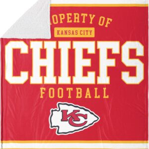 FOCO NFL Unisex-Adult NFL Plush Throw