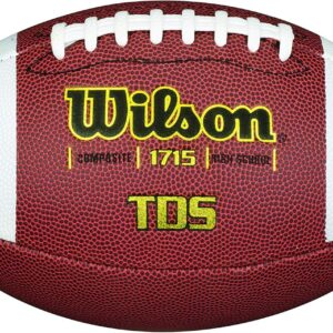 Wilson Composite Football