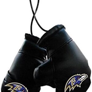 Fremont Die NFL Fan Shop 4″ Mini Boxing Gloves