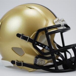 Riddell NCAA Mens Speed Mini Helmet