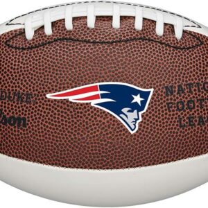 WILSON NFL Team Alliance Footballs